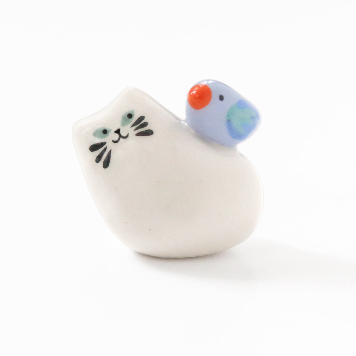 Chat colibri