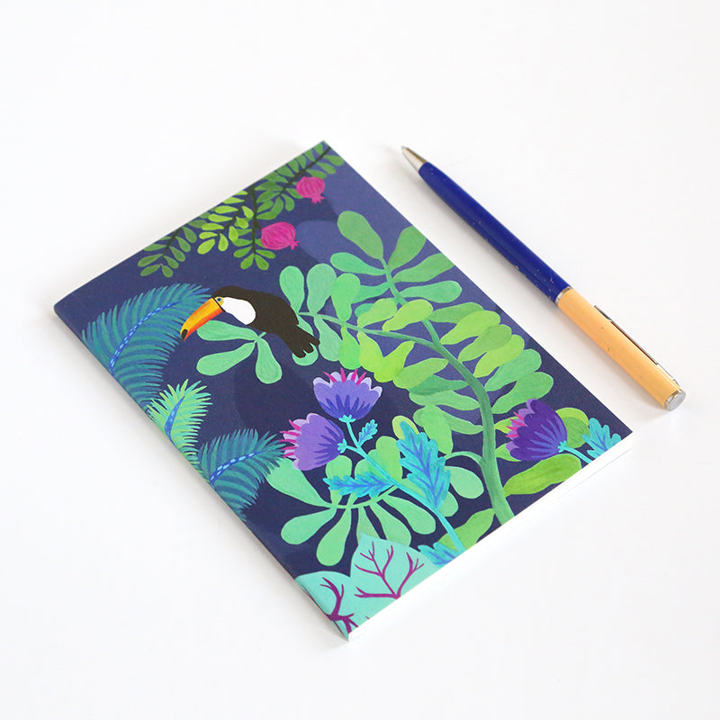 Petit Carnet - Le rêve du toucan