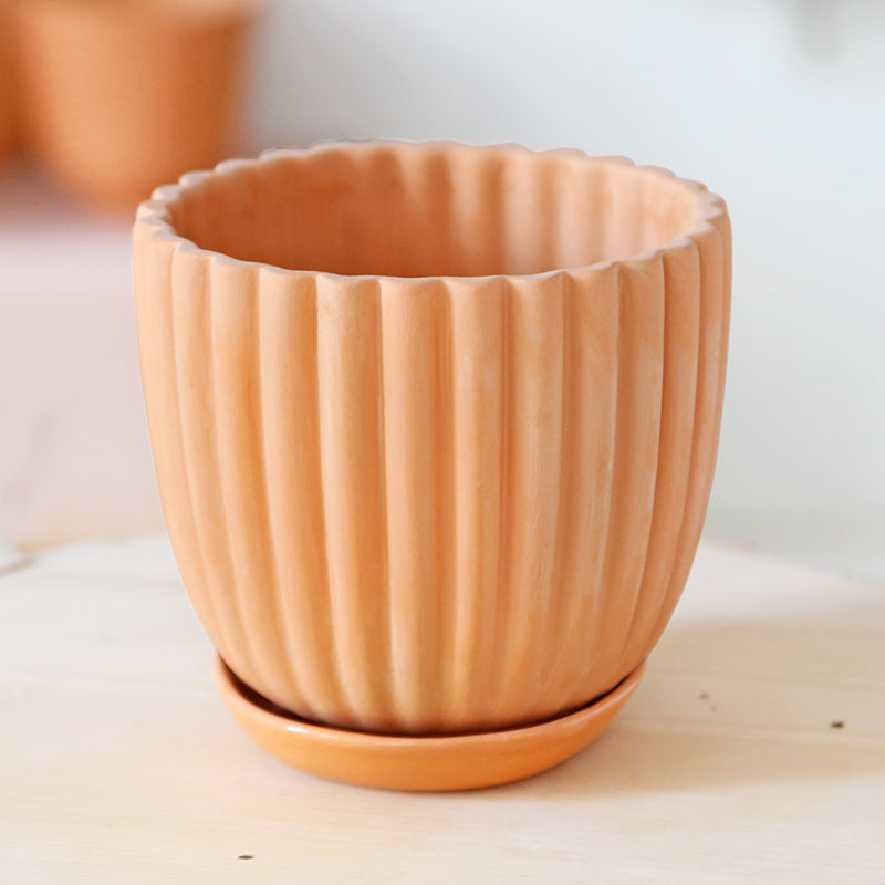 Large terracotta pot "Tuli" + matching plate